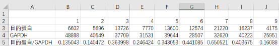 10IntDen-Excel.png