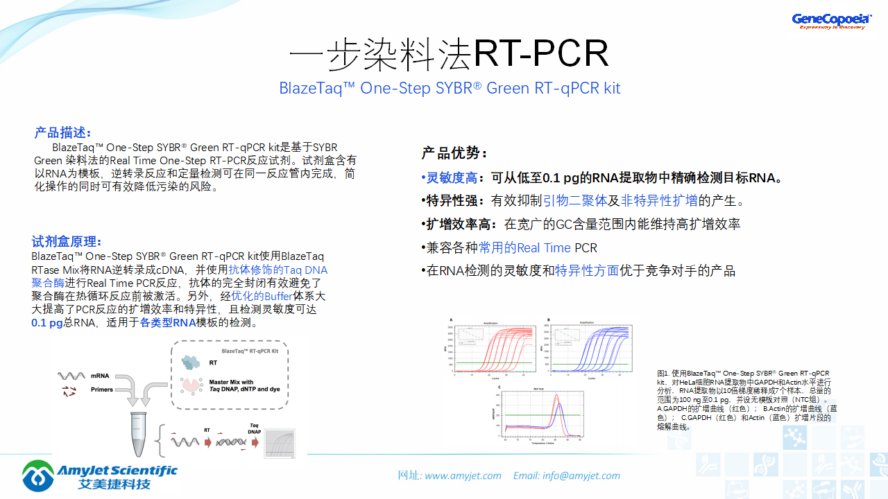 202006-PCR背景与解决方案_41.png